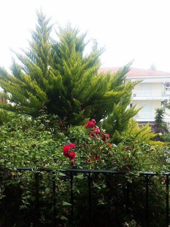 Charming Maisonette Πολύχρονο Εξωτερικό φωτογραφία